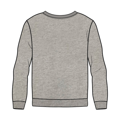 Berwick Springs JFC Crew Neck Sweater - Grey