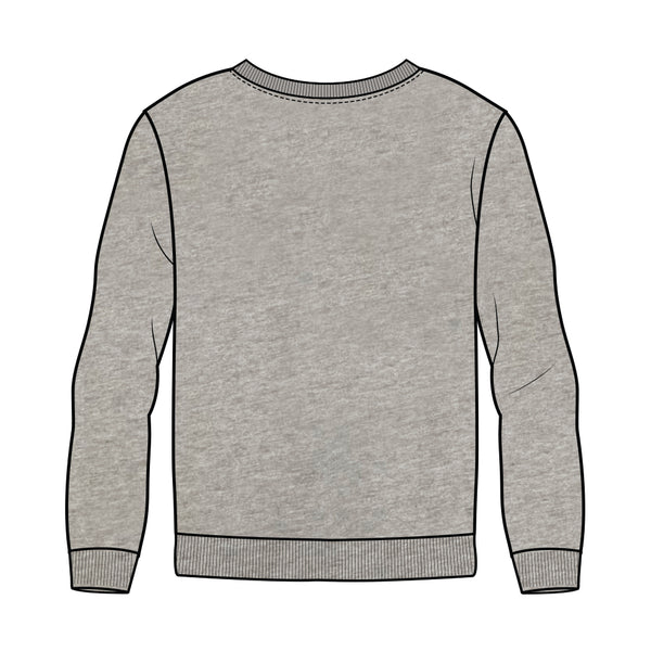 Berwick Springs JFC Crew Neck Sweater - Grey